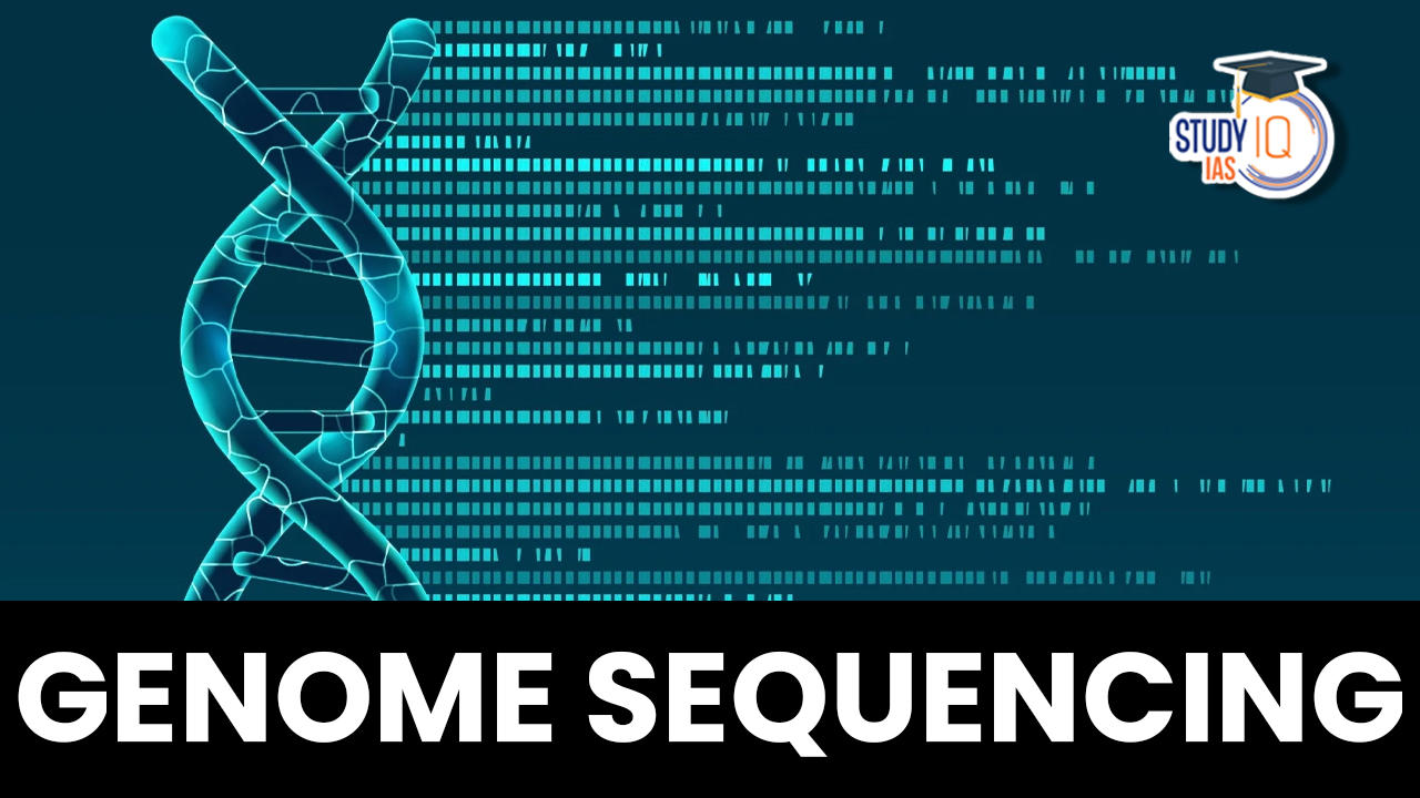 Genome Sequencing