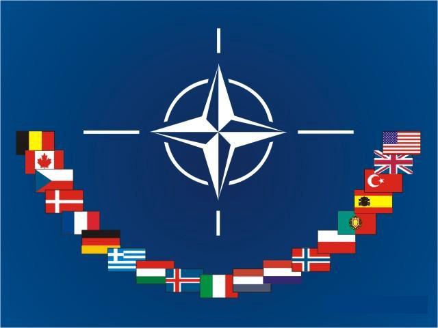 North Atlantic Treaty Organization (NATO)_30.1