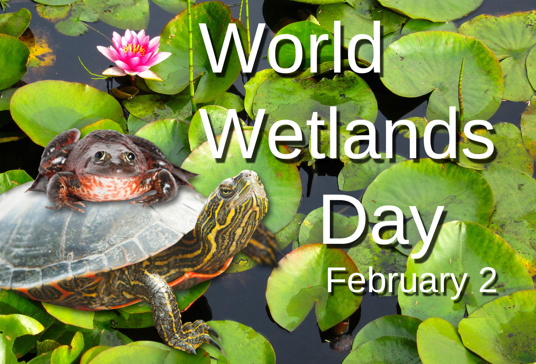 World Wetlands Day 2022, Significance & Theme List_30.1
