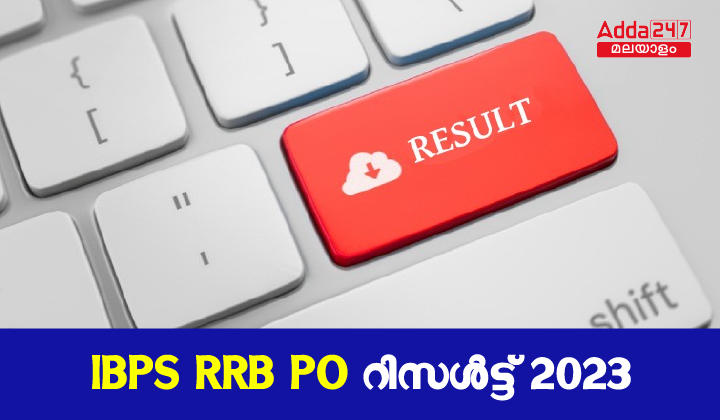 IBPS RRB PO മെയിൻസ് റിസൾട്ട് 2023 OUT, ഡൗൺലോഡ് ലിങ്ക്_30.1