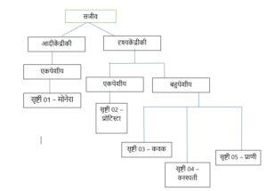 सूक्ष्मजीव आणि वनस्पती: सजीवांचे वर्गीकरण भाग 1, ZP भरतीसाठी अभ्यास साहित्य_40.1
