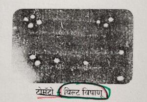 सूक्ष्मजीव आणि वनस्पती: सजीवांचे वर्गीकरण भाग 1, ZP भरतीसाठी अभ्यास साहित्य_120.1
