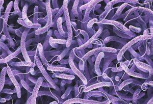 मानवी रोग: रोगांचे वर्गीकरण आणि रोगांचे कारणे | Classification of Diseases and Causes of Diseases_160.1