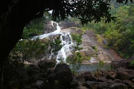 Top 10 Highest Waterfalls in India | भारतातील 10 सर्वात उंच धबधबे: Study Material for MHADA Exam_100.1
