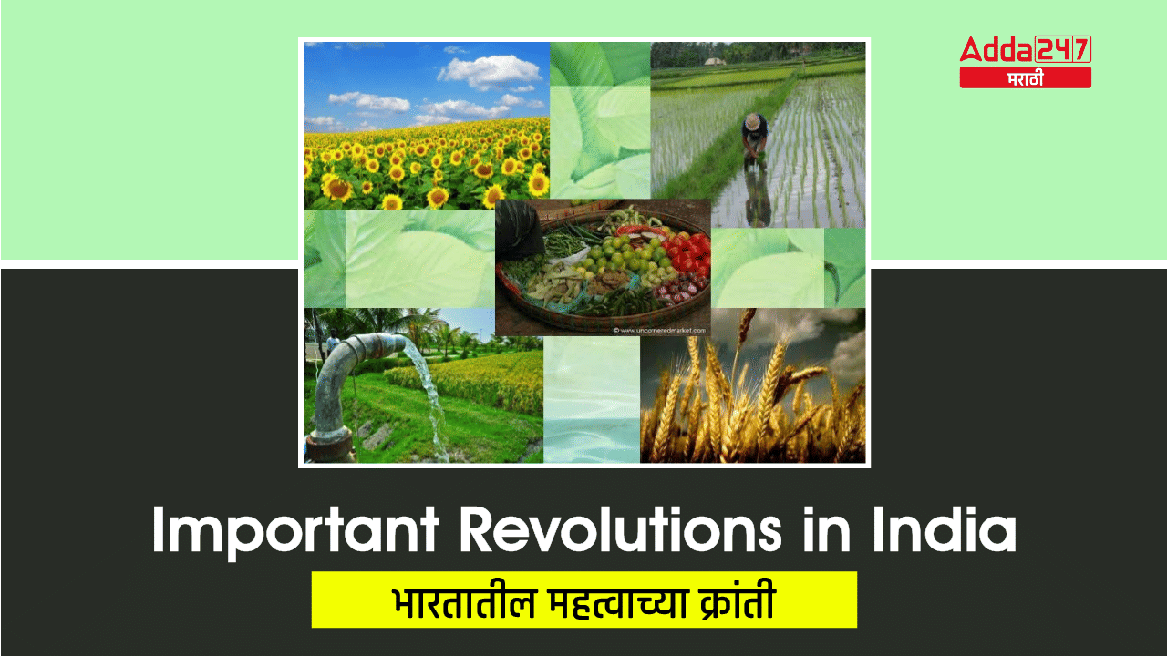 Important Revolutions in India, Know about Important Revolutions in India_30.1