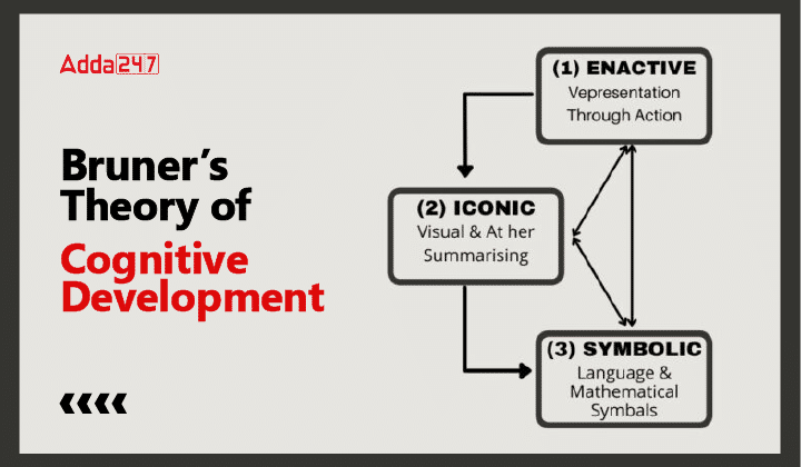 Bruner's Theory of Cognitive Development