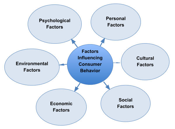 Consumer Behaviour: Meaning, Characteristics & Factors_40.1