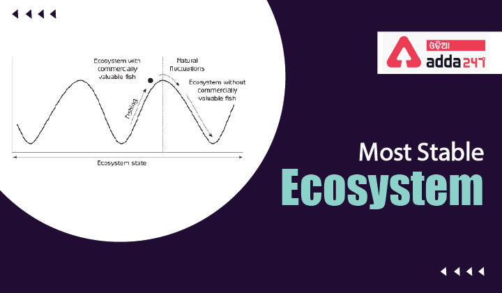 which-of-the-following-is-the-most-stable-ecosystem