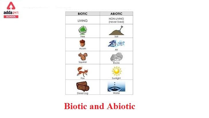 Biotic and Abiotic Factors, Examples & Differences | adda247_30.1
