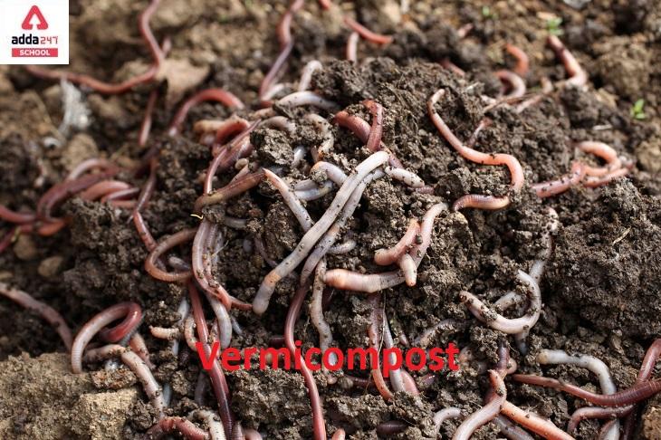 Vermicompost / Vermicomposting: Meaning, Process, Price_30.1