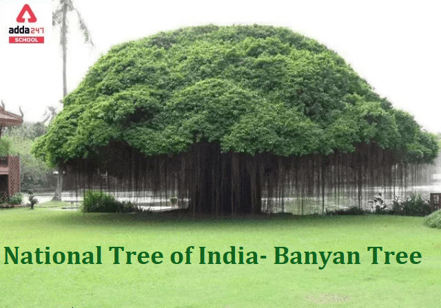 names of indian trees