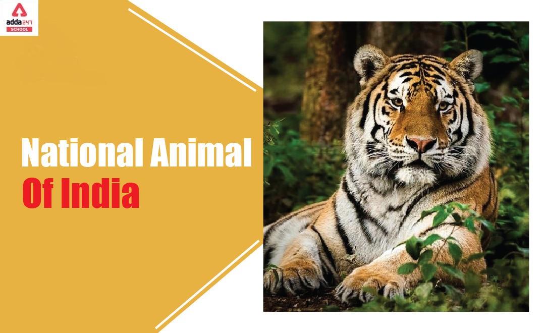 national animal of india