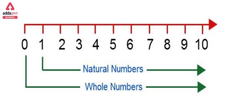 Natural Numbers List, Definition and Examples, Class 10 & 11_40.1