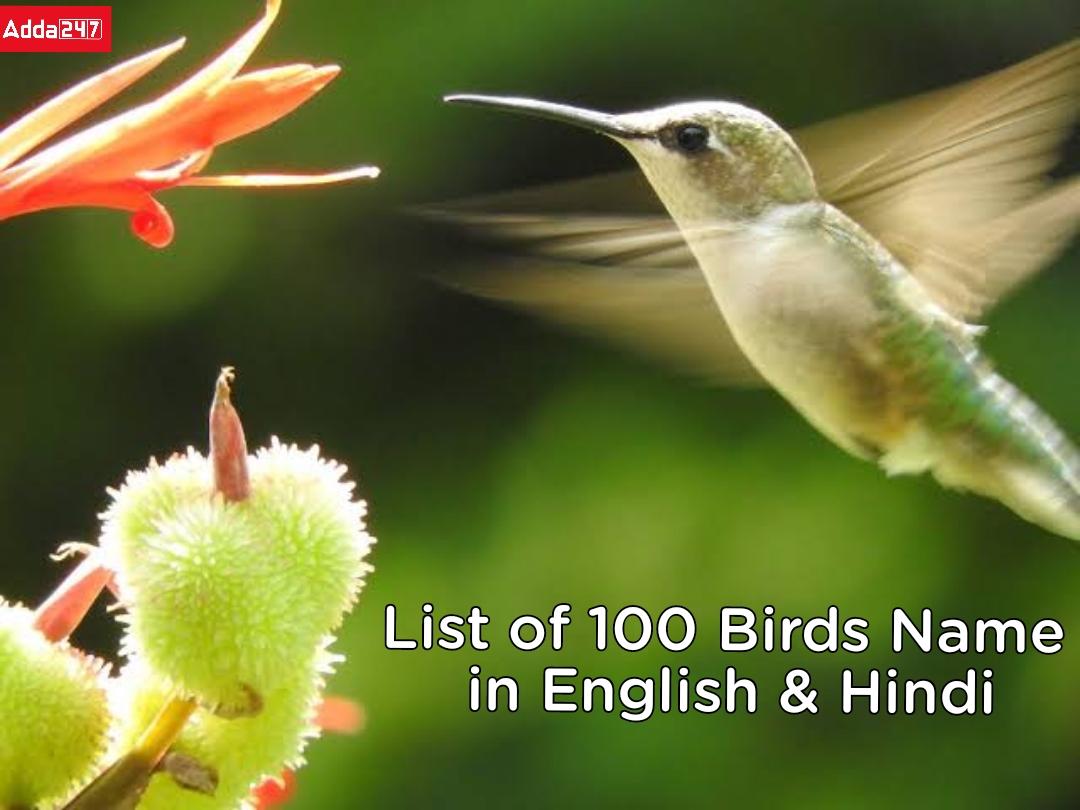 Birds Names (100) in English & Hindi