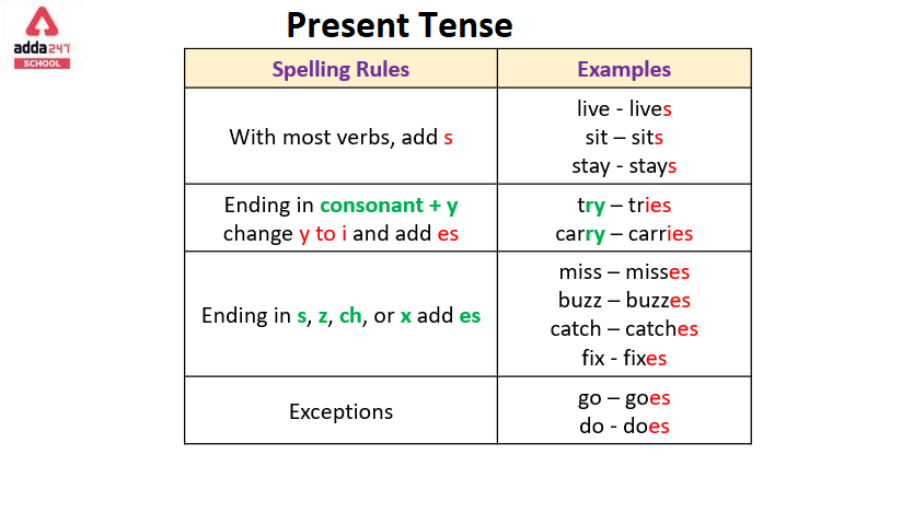 Verb Tenses - Present Tense - Exercise 11 - Simple Present Tense