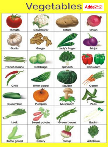 vegetables pictures with name in english