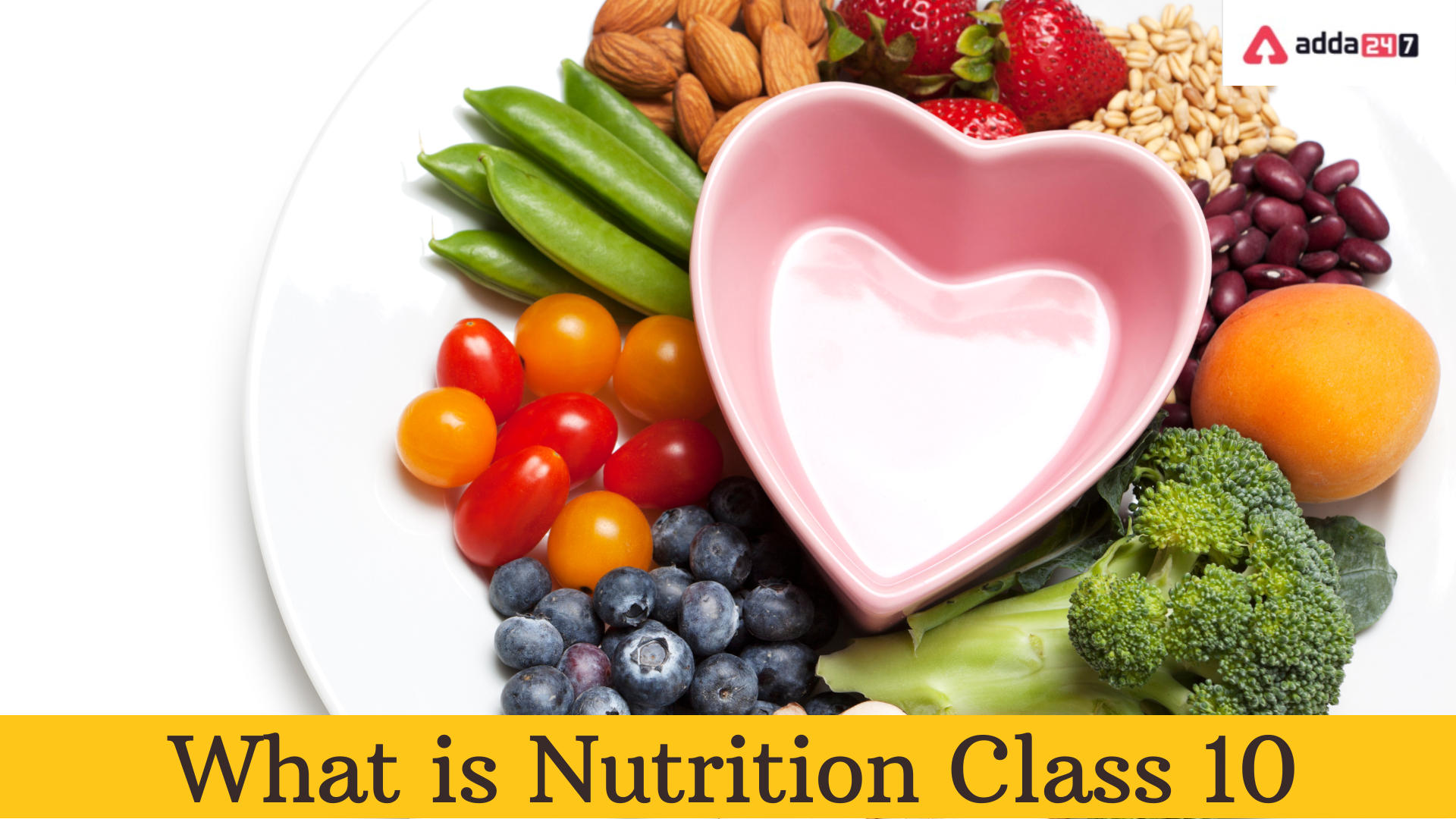 What is Nutrition Definition in Biology for Class 10_30.1