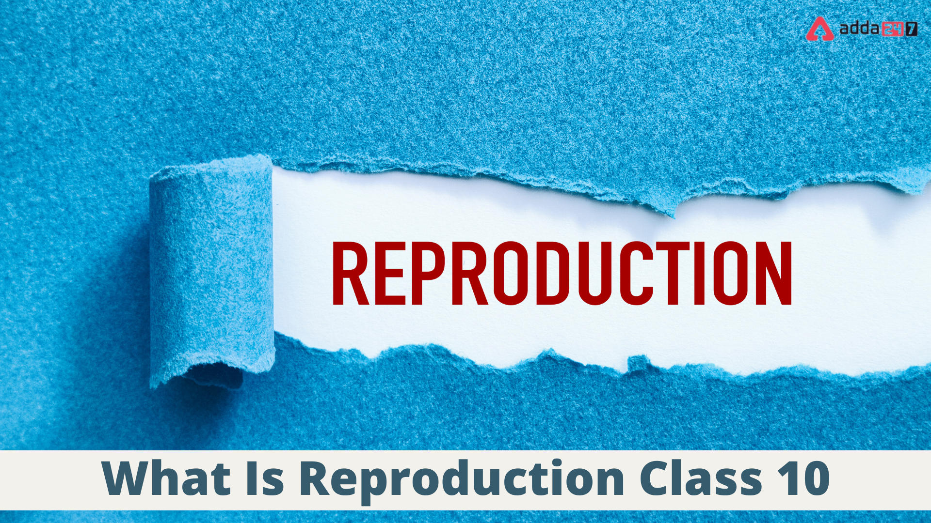 What Is Reproduction?- In Plants, Human, Science, Class 10_30.1