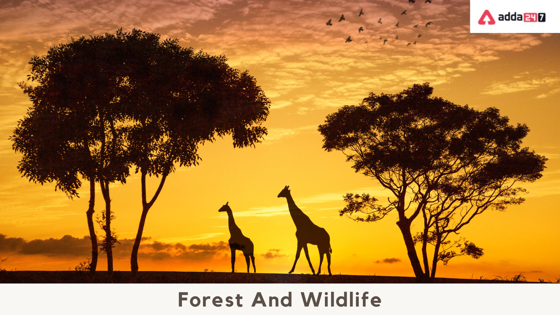 Forest And Wildlife Resources Class 10 Notes Geography Ch 2