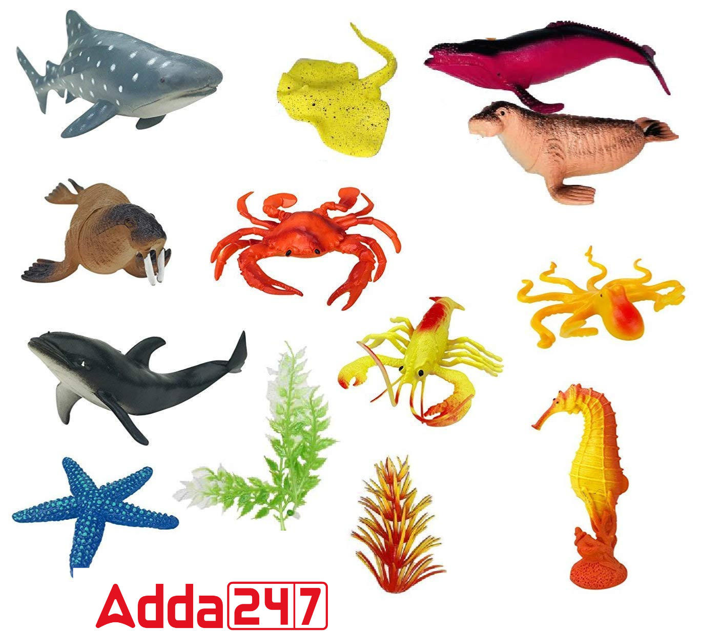 50 Water Animals Name in English, Sea, Aquatic Animals Name_40.1