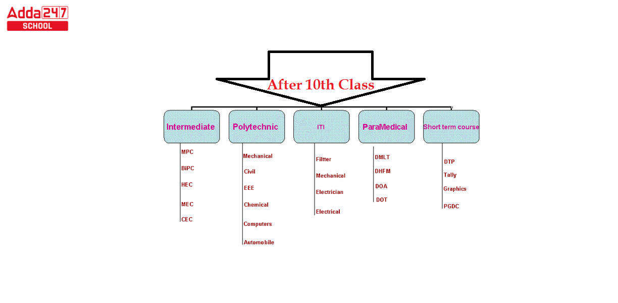 what-to-do-after-10th-best-career-options-after-class-10th