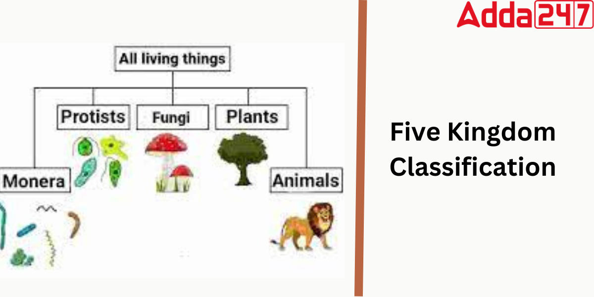 classification of living things 5 kingdoms
