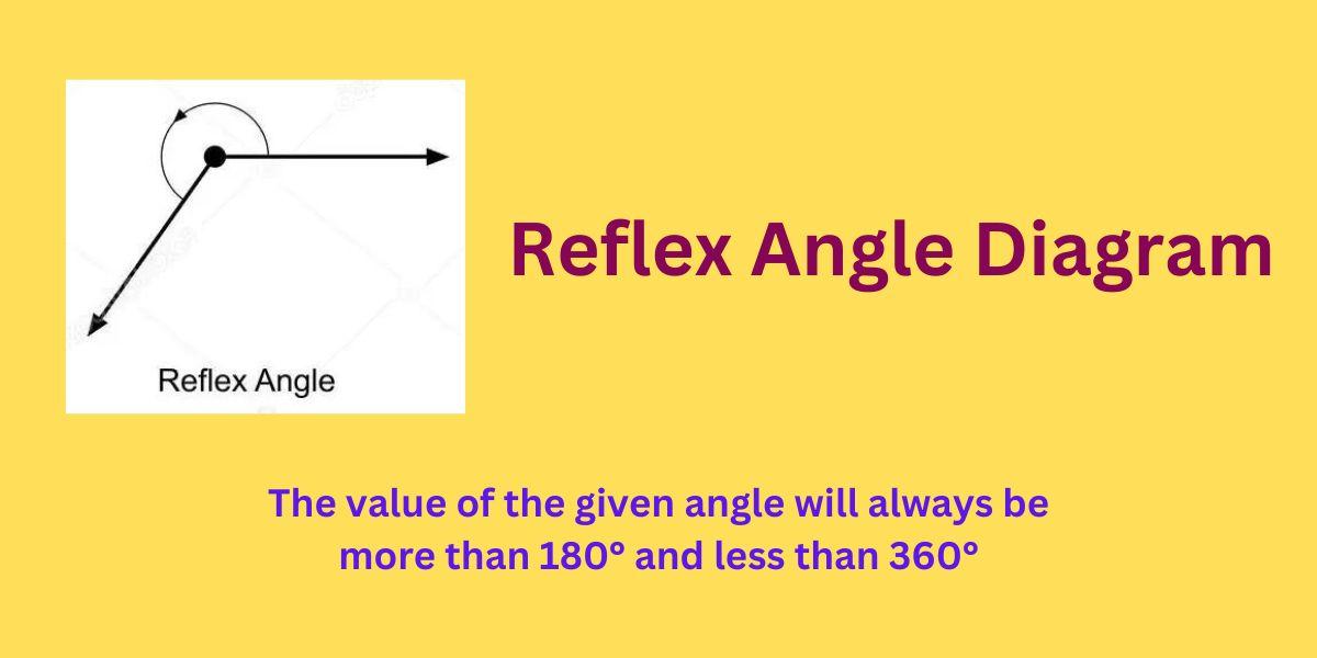 Reflex Angle- Definition, Degree, Diagram, Examples