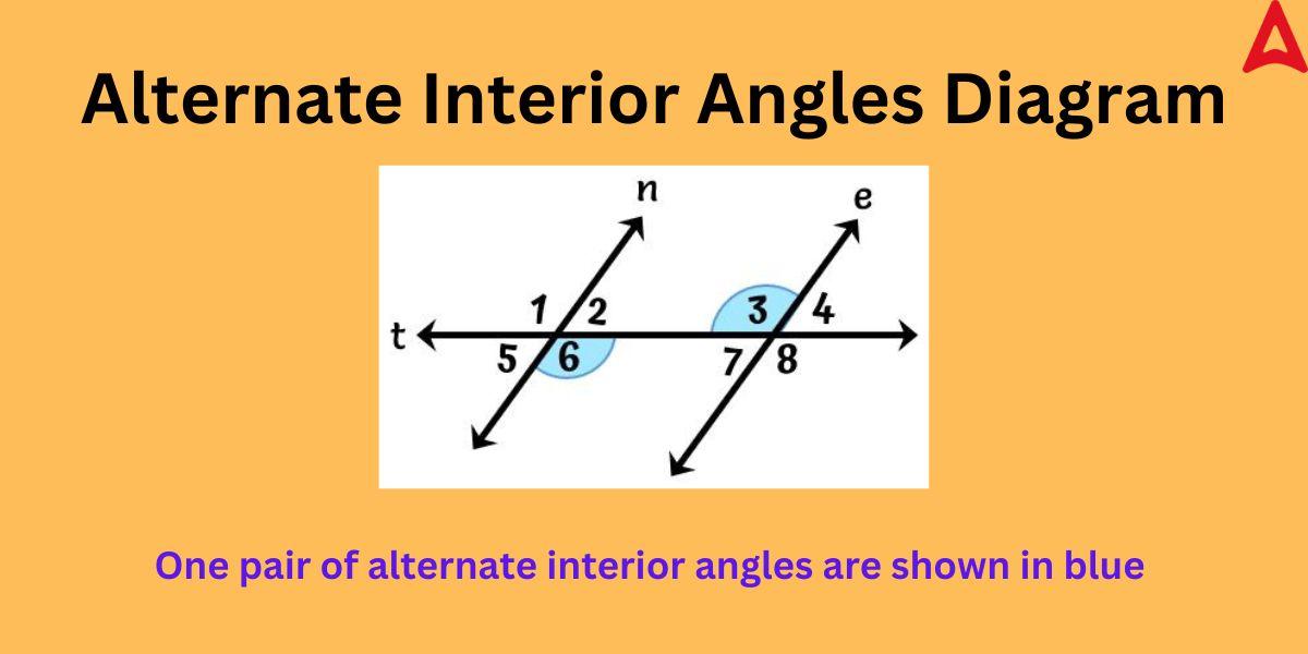Alternate Interior Angles Definition Theorem Diagram Examples 6000