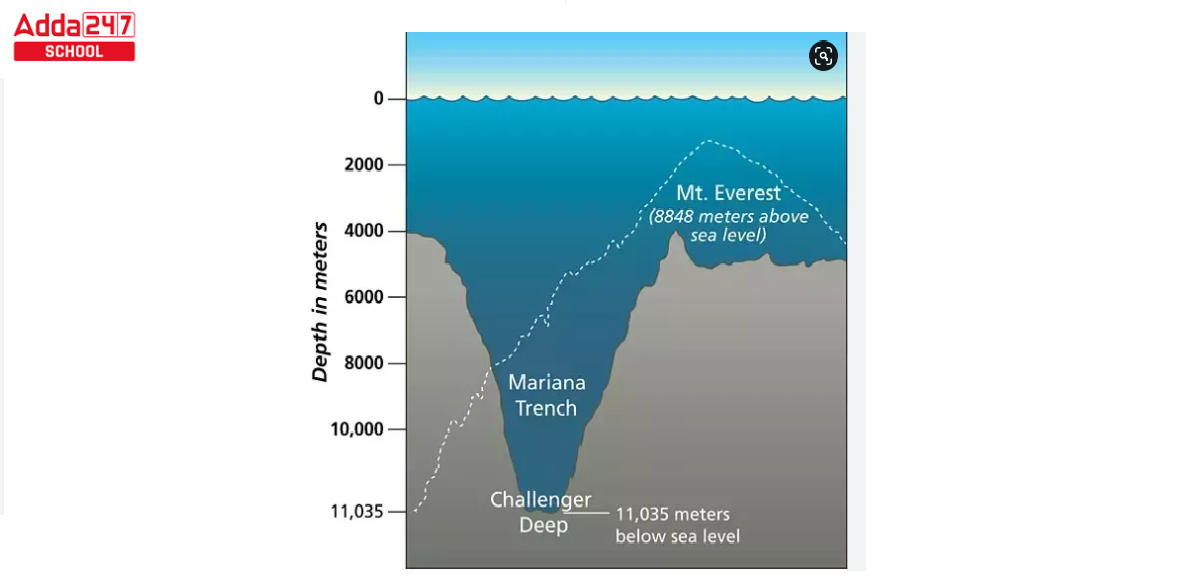 На какой высоте москва над уровнем моря. Марианская впадина схема глубины. Уровень глубины Марианской впадины. Дно Марианской впадины схема. Уровень моря.