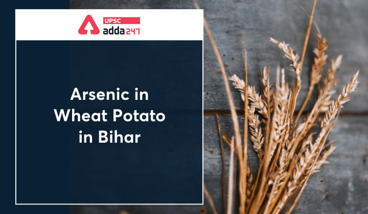 Arsenic Found in Wheat, Potato in Rural Bihar_30.1