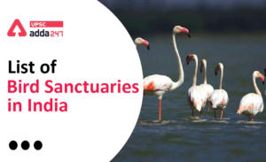 List of Bird Sanctuary in India