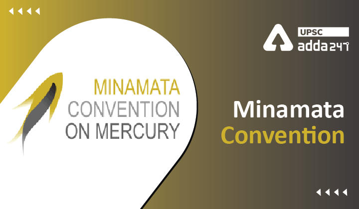 Minamata Convention on Mercury_30.1