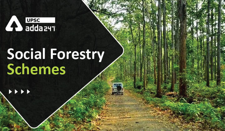 Social Forestry Schemes in India | Social Forestry_30.1