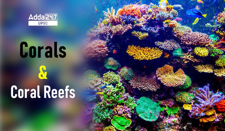 Corals & Coral Reefs_30.1