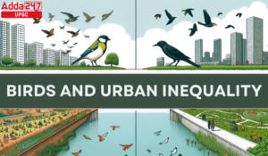 Birds and Urban Inequality