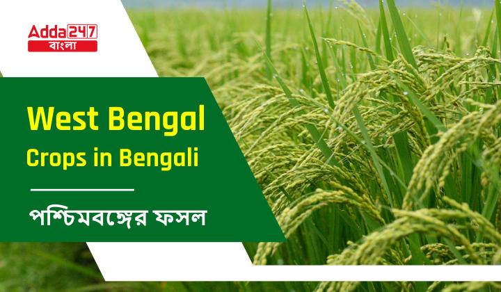 west-bengal-crops-in-bengali-district-wise-crop-production