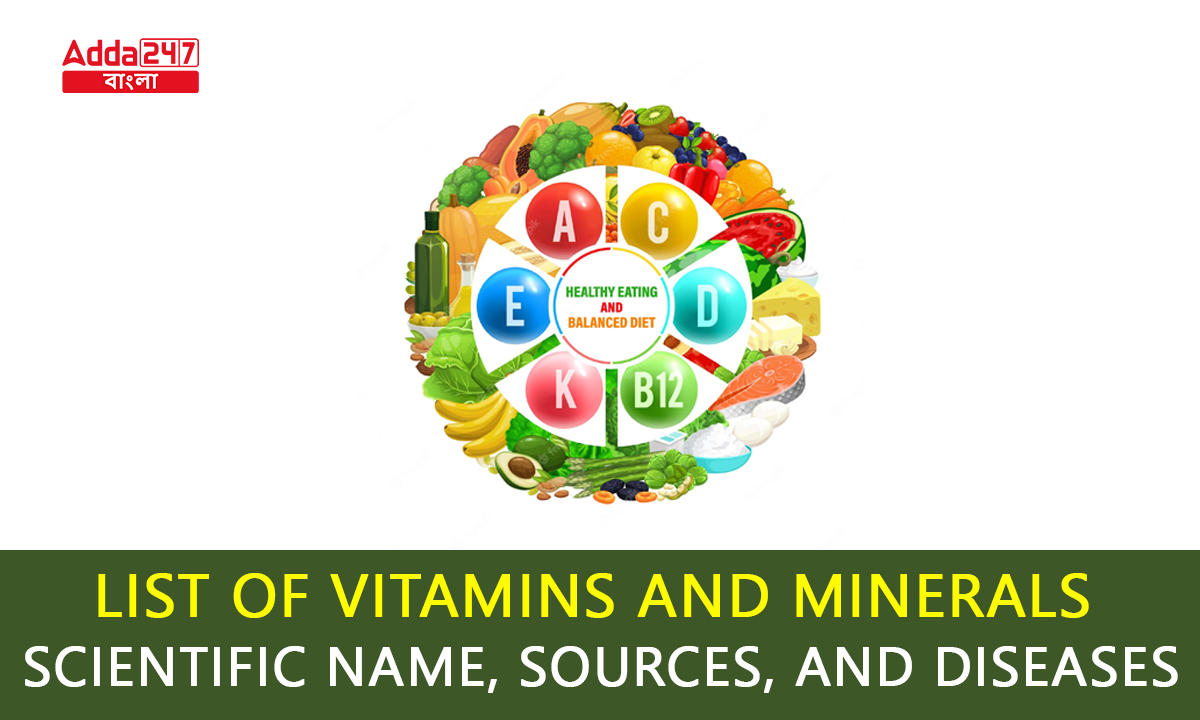 List Of Vitamins And Minerals: Scientific Name, Sources, And Diseases