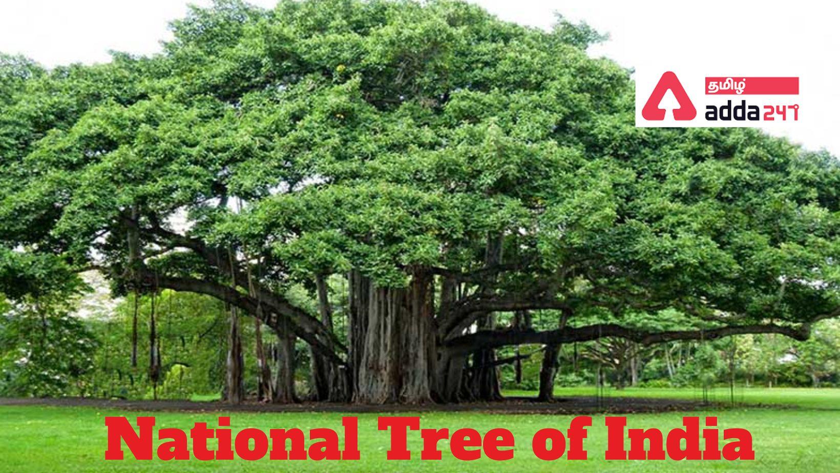 What is the National Tree of India?_30.1