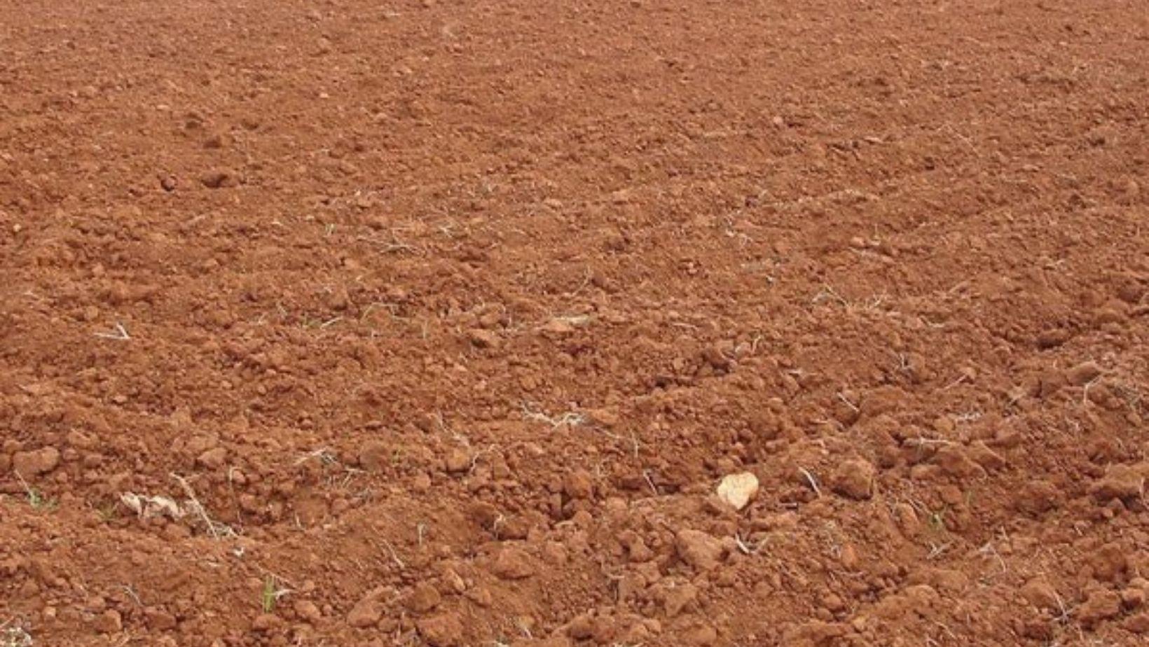 Types of Soils in India, Characteristics and Classifications_50.1