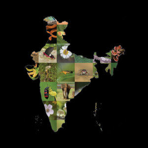 Biodiversity Hotspots in India 2023 in Telugu, Download PDF_50.1