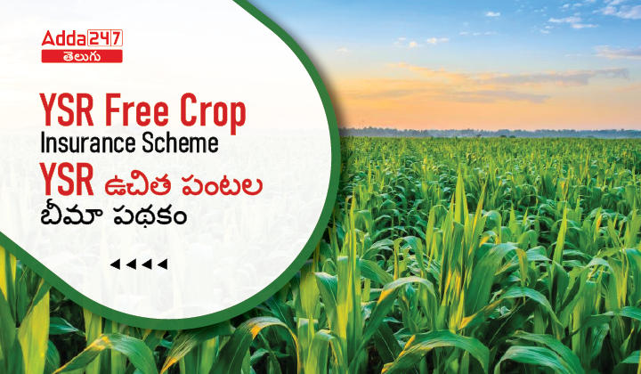YSR Free Crop Insurance Scheme, Benefits, Eligibility, And More Details_30.1