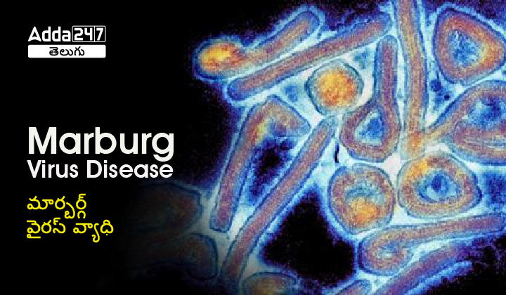 Marburg Virus Disease - Symptoms, Prevention and Control & More Details |_30.1