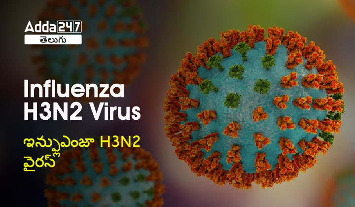 Influenza H3n2 Virus Symptoms Treatment And Precautions And More Details 6520