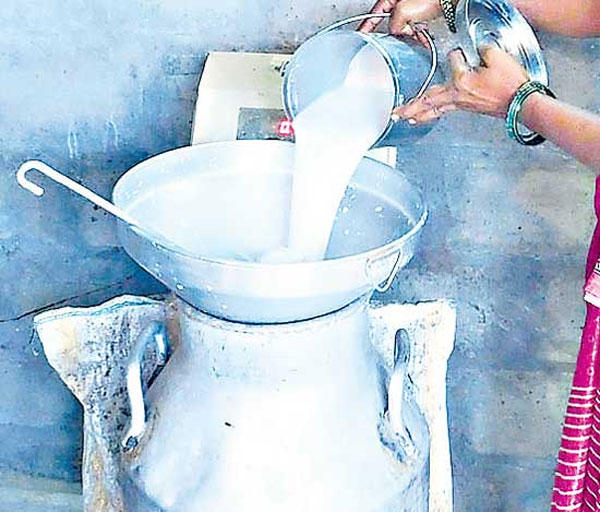 మిల్క్ ఎనలైజర్ల లైసెన్సు, సేకరణ కేంద్రాల నమోదు |_30.1