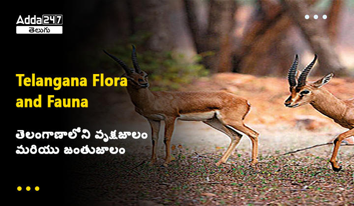 Telangana Flora and Fauna in Telugu, Telangana State GK Study Notes_30.1