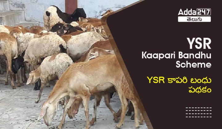 YSR Kaapari Bandhu Scheme 2023, Download PDF | APPSC Groups, AP Police_30.1