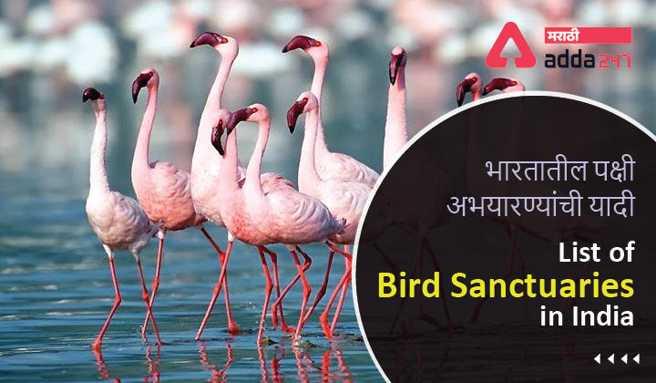 Bird Sanctuary in India 2023, Updated List of Bird Sanctuaries in India_30.1