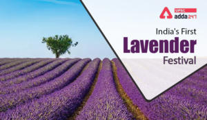 India's First Lavender Festival