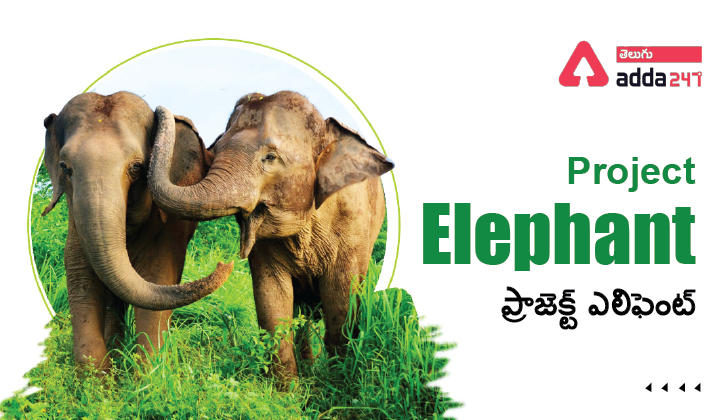 Project Elephant Complete Details, Elephant Reserves in India_30.1