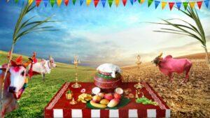 Which is the Harvest Festival of Tamil Nadu? | தமிழ்நாட்டின் அறுவடைத் திருவிழா எது